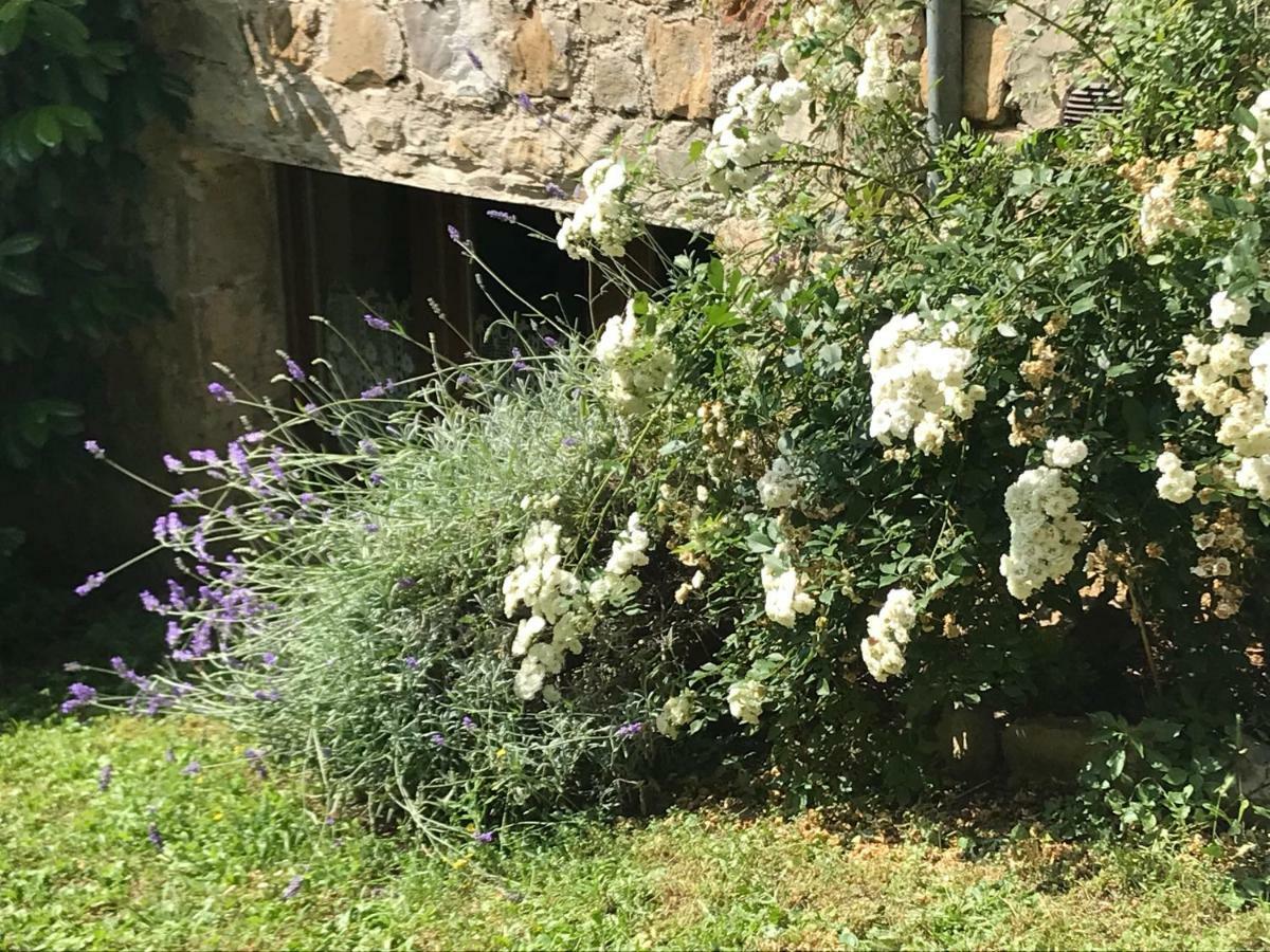 Montebeni Apartments Greve in Chianti Exterior foto
